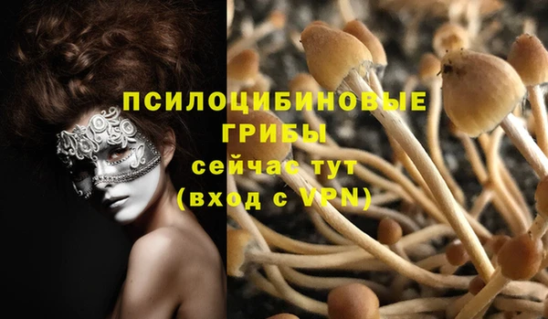 МДПВ Арсеньев