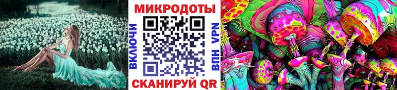 гидра   Шенкурск  Псилоцибиновые грибы мицелий  купить наркоту 